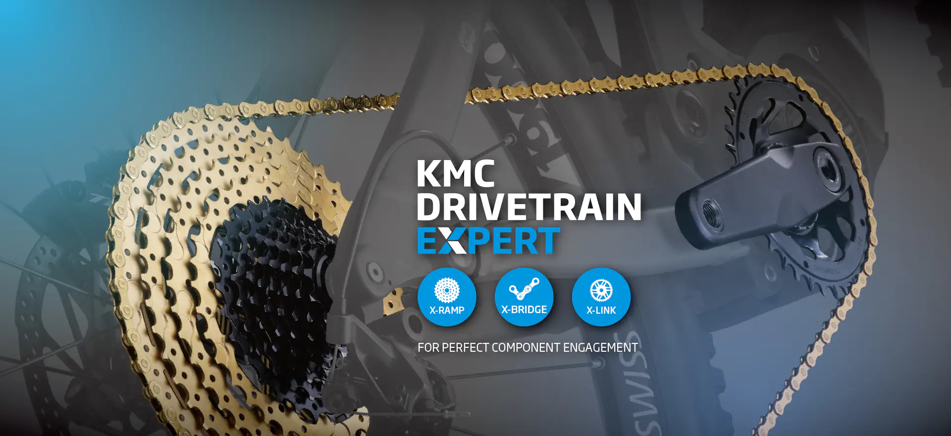 Drivetrain Expert